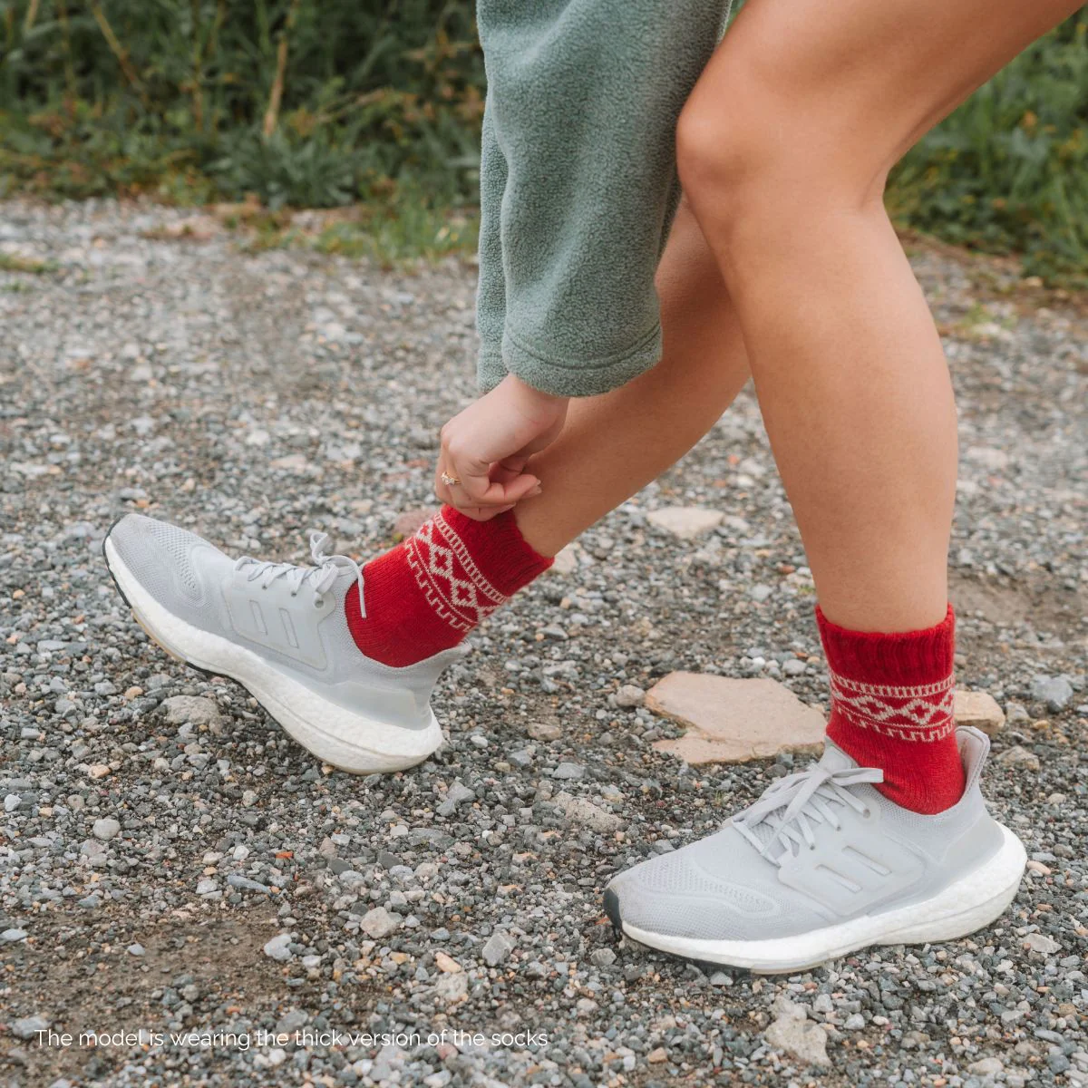 Adventurer Calzini Bassi (2 paia) - Image 4